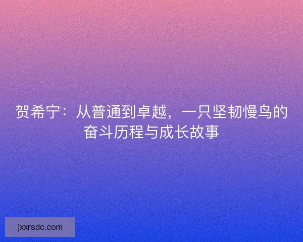 贺希宁：从普通到卓越，一只坚韧慢鸟的奋斗历程与成长故事