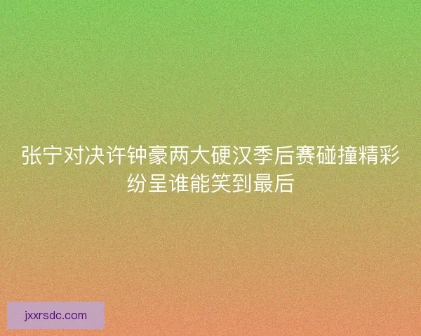 张宁对决许钟豪两大硬汉季后赛碰撞精彩纷呈谁能笑到最后