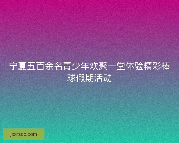 宁夏五百余名青少年欢聚一堂体验精彩棒球假期活动