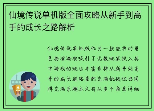 仙境传说单机版全面攻略从新手到高手的成长之路解析