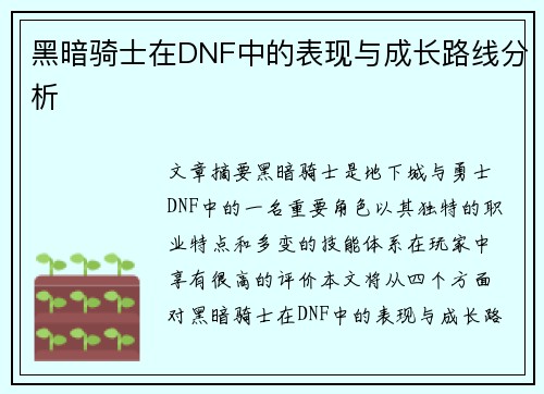 黑暗骑士在DNF中的表现与成长路线分析